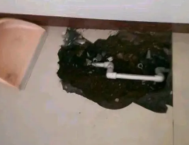 惠安卫生间测漏水多少钱